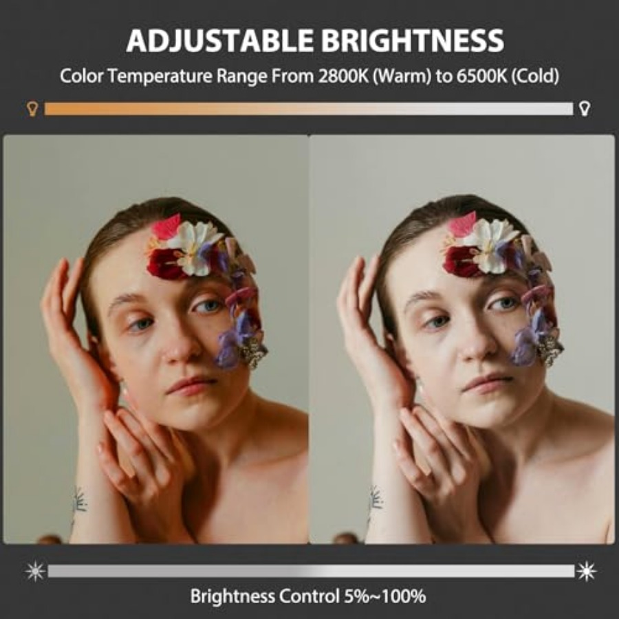 60W COB LED Video Light Handhe - Photography Lighting For Studio recension och pris